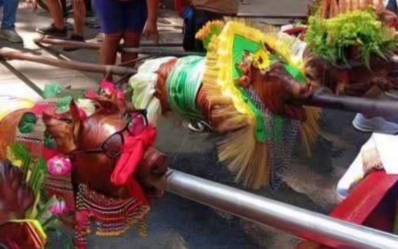NCIP Condemns Misuse of Indigenous Attire at Bukidnon Festival