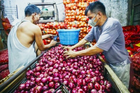 Gov&rsquo;t ramps up onion buying to support farmers amid falling farmgate prices