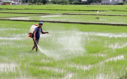 PBBM admin to modify value-chain for yield hike, affordable food