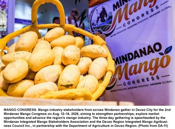 Mindanao Mango Industry Eyes Greater Market Reach, Higher Value for Farmers