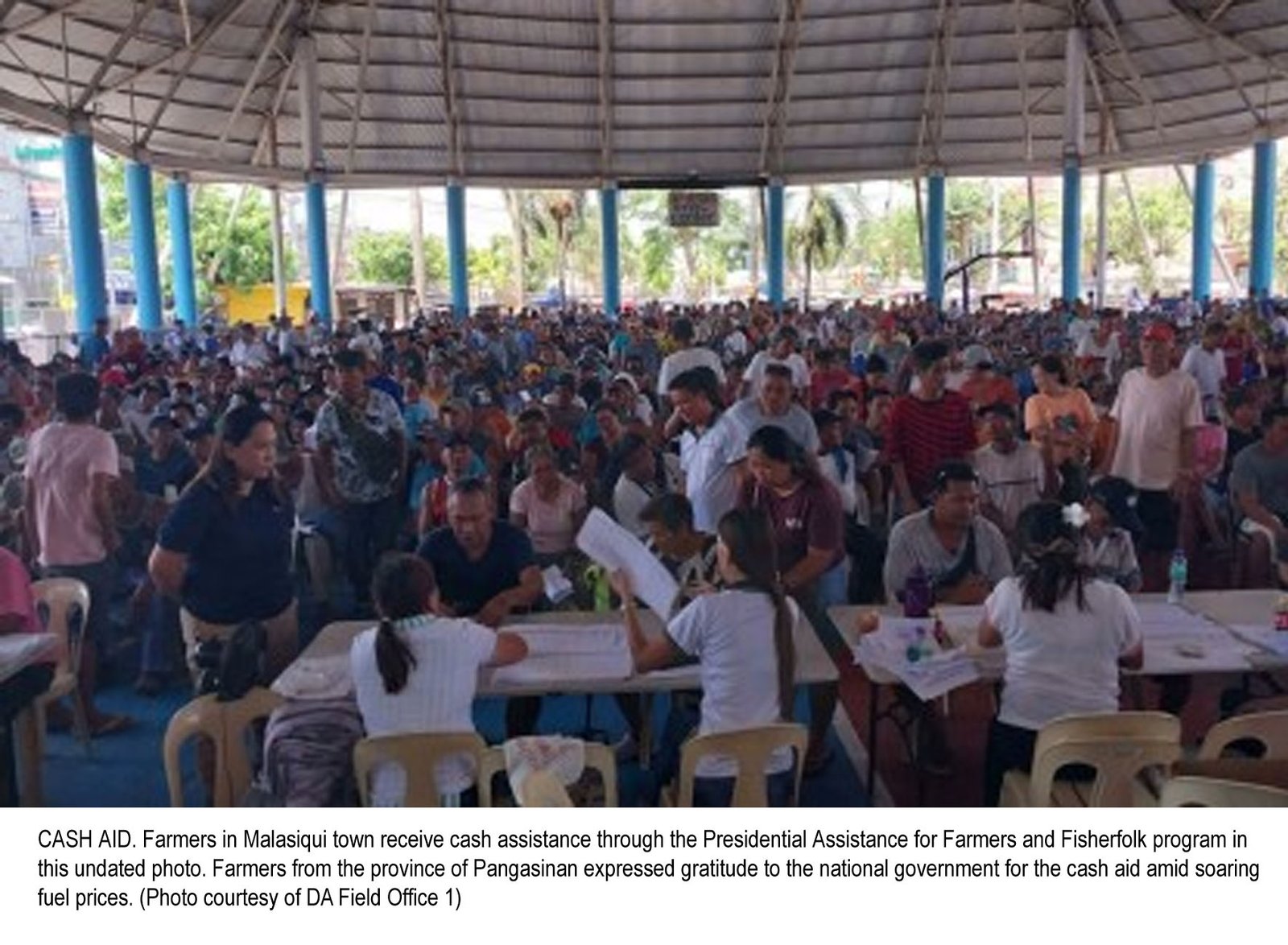 Government Aid and New Market Opportunities Bring Hope to Farmers in Pangasinan and Cordillera