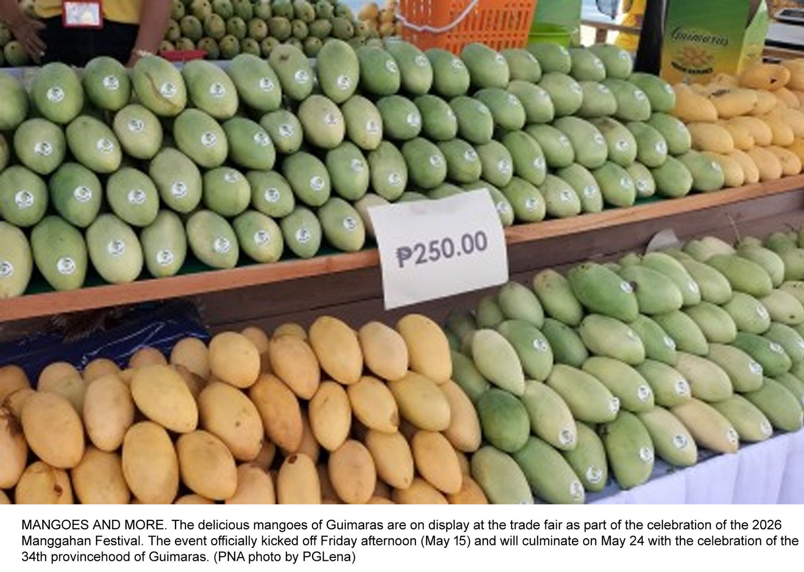Guimaras Boosts Tourism Drive as 2026 Manggahan Festival Targets P100-M Revenue
