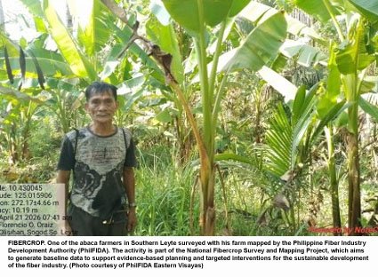 PhilFIDA widens abaca mapping drive across Southern Leyte
