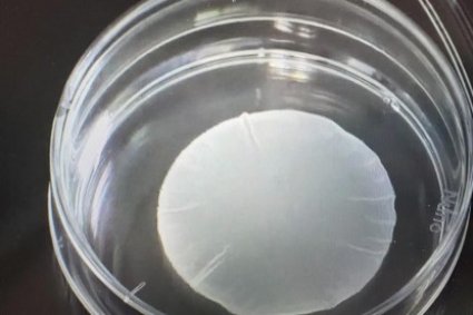 Japan Approves First iPS Cell-Derived Medical Treatments for Conditional Use