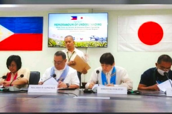 AI drone project launched to detect banana diseases in Davao farms